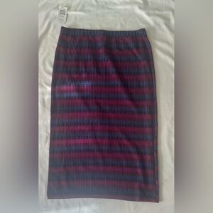 Striped Knit Skirt in Pink and Blue